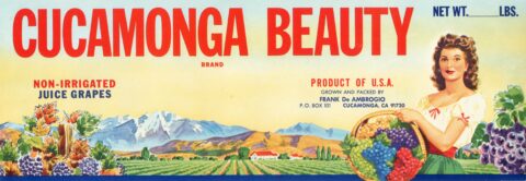 Cucamonga Beauty